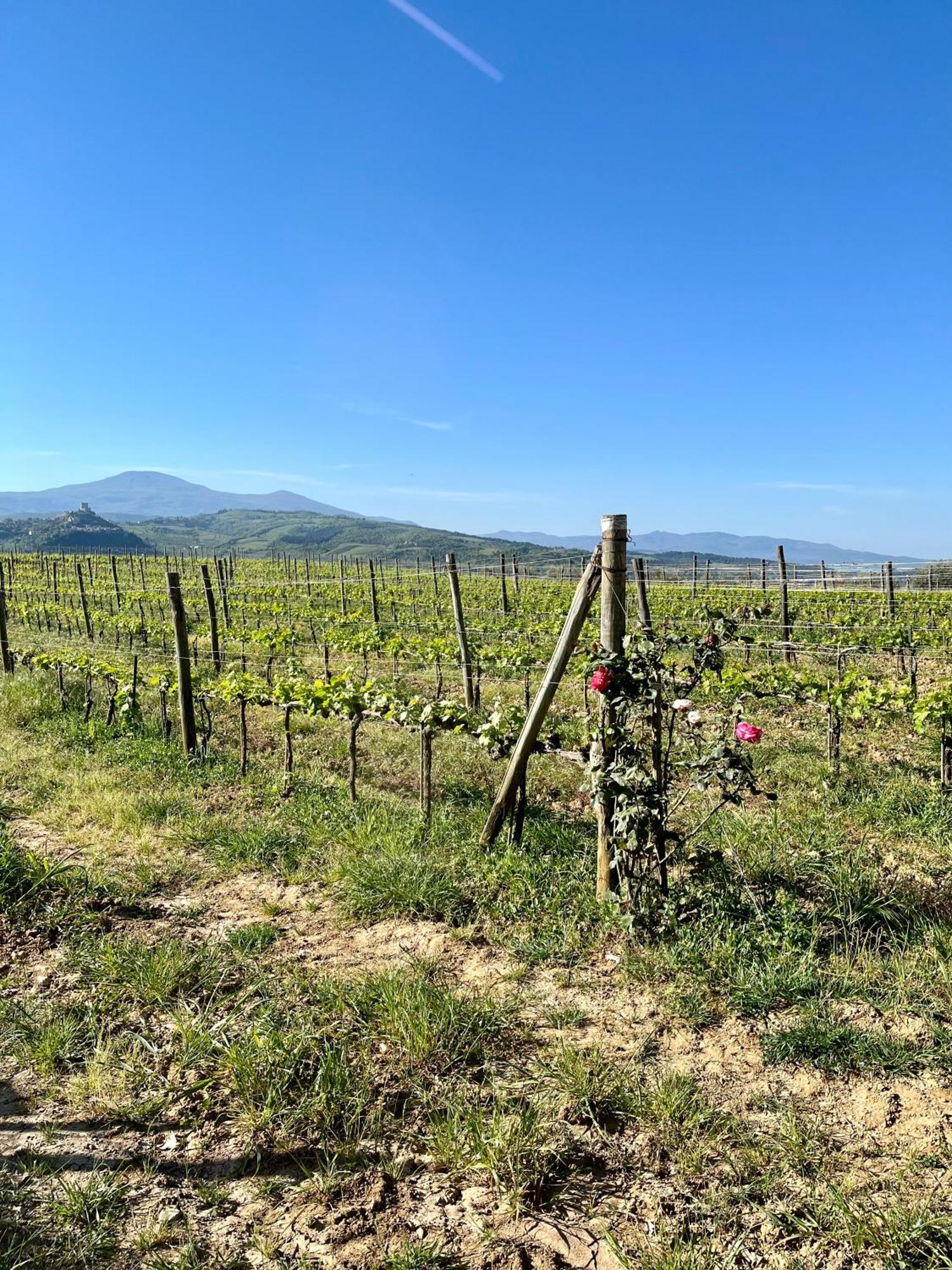 Agriturismo Le Querciole In Val D'Orcia Bagno Vignoni Zewnętrze zdjęcie