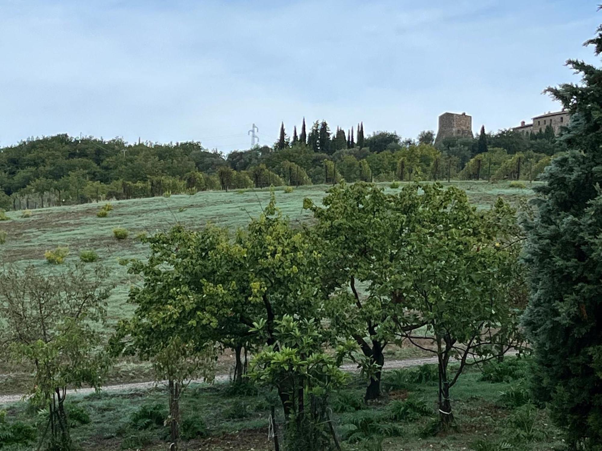 Agriturismo Le Querciole In Val D'Orcia Bagno Vignoni Zewnętrze zdjęcie
