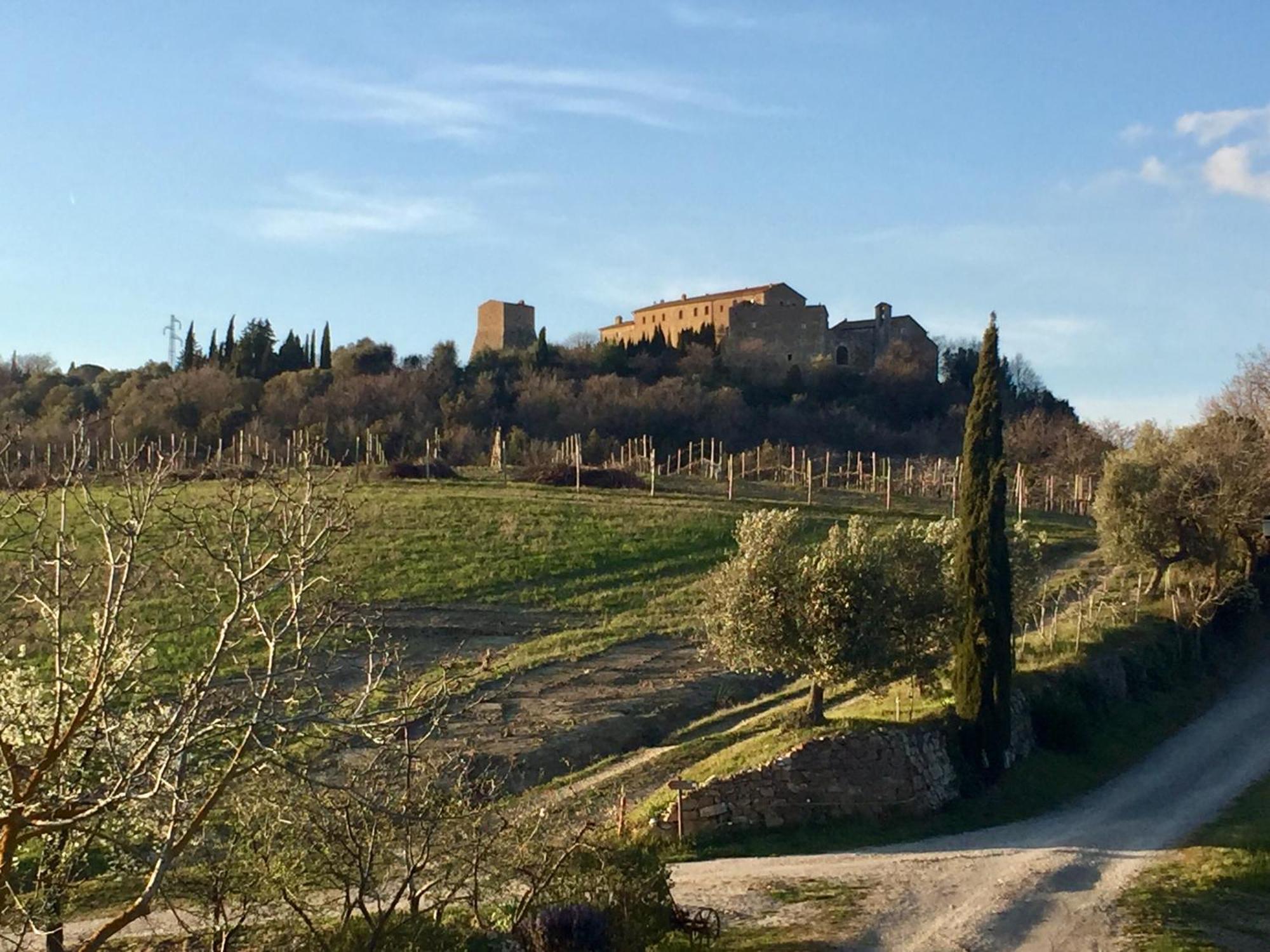 Agriturismo Le Querciole In Val D'Orcia Bagno Vignoni Zewnętrze zdjęcie