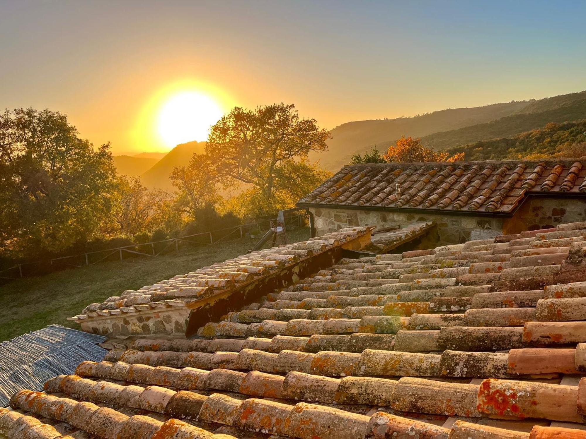 Agriturismo Le Querciole In Val D'Orcia Bagno Vignoni Zewnętrze zdjęcie