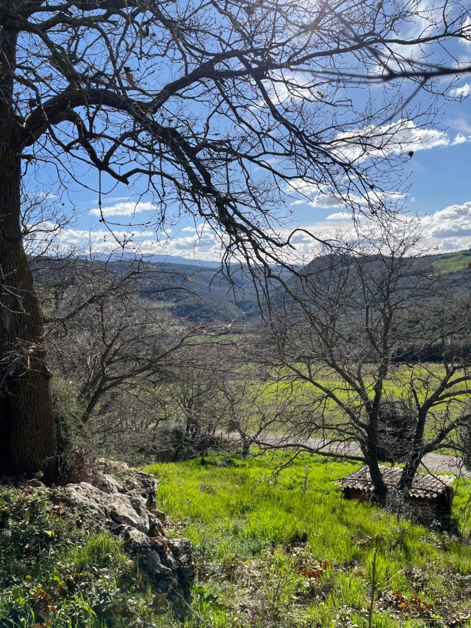 Agriturismo Le Querciole In Val D'Orcia Bagno Vignoni Zewnętrze zdjęcie